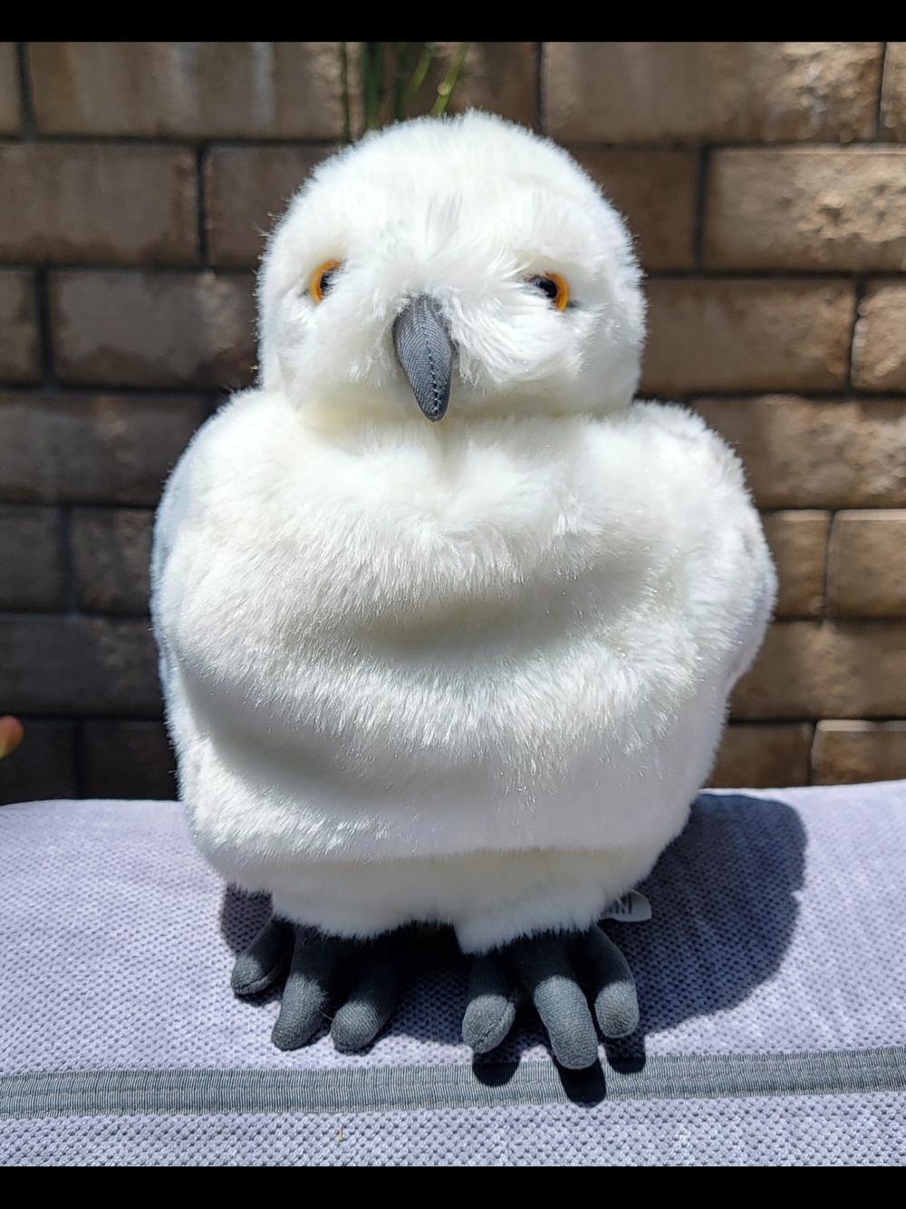Universal Wizarding World Harry Potter HEDWIG Interactive Puppet Plush Head Turn